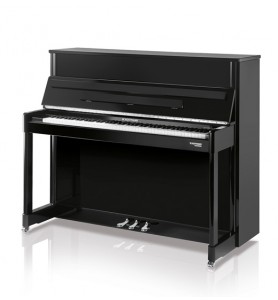 Photo W. Hoffmann Professional P114